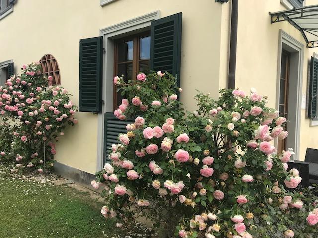 Residence Prunali マッサローザ エクステリア 写真